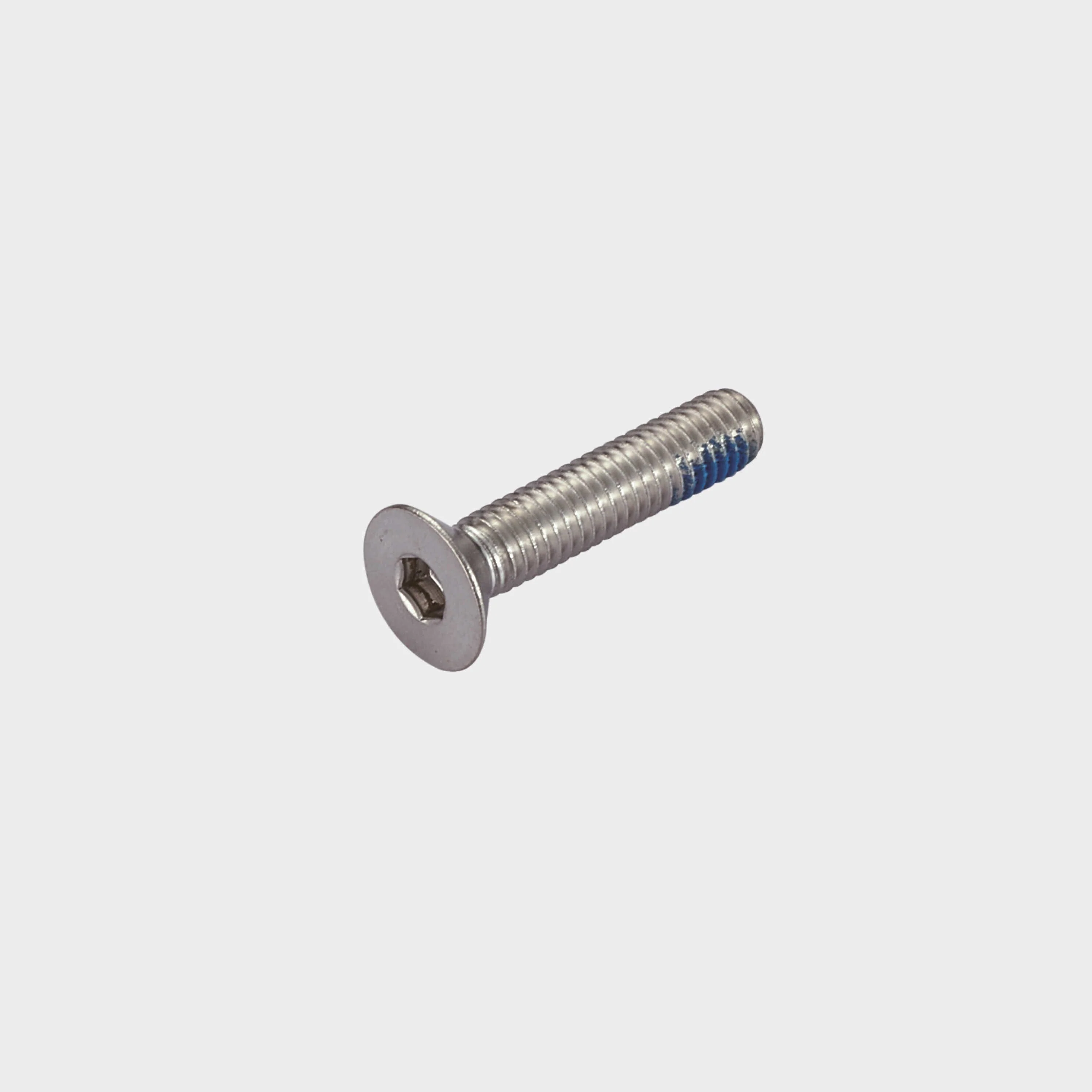 Micro Flex / Kickboard Deck Screws: Silver