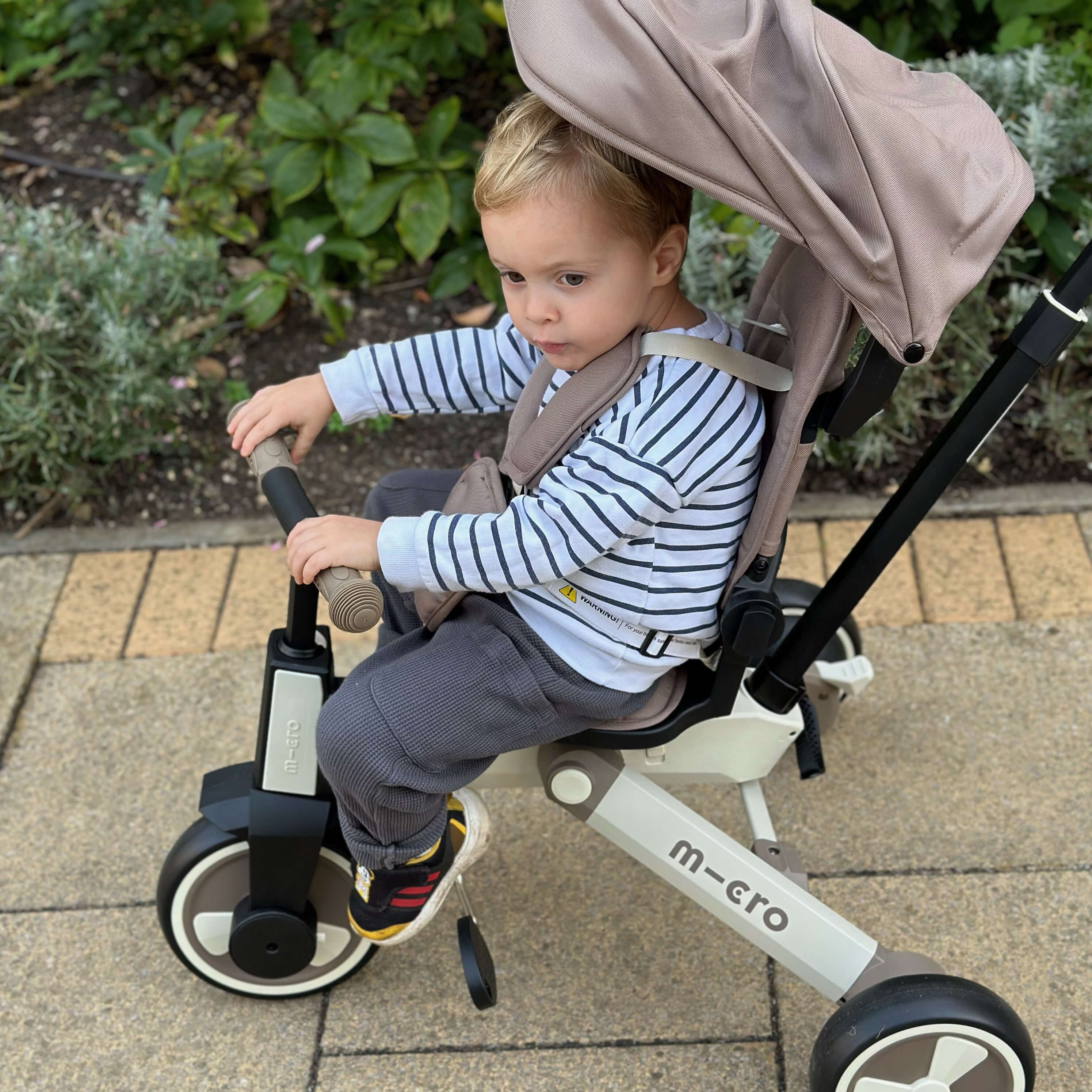 Micro Flexi Trike: Green Matcha - Image 10